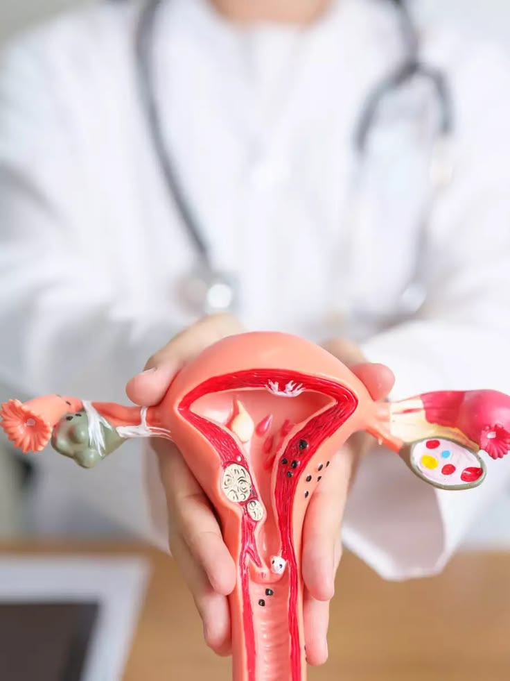 Cervical Cancer Prevention & Screening